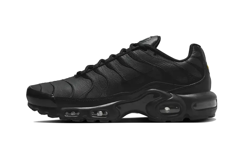 Air Max Plus Triple Black Leather