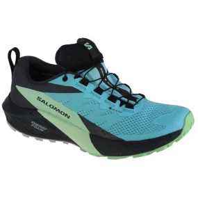 Chaussures de course Salomon Sense Ride 5 Gtx W 472160 bleu