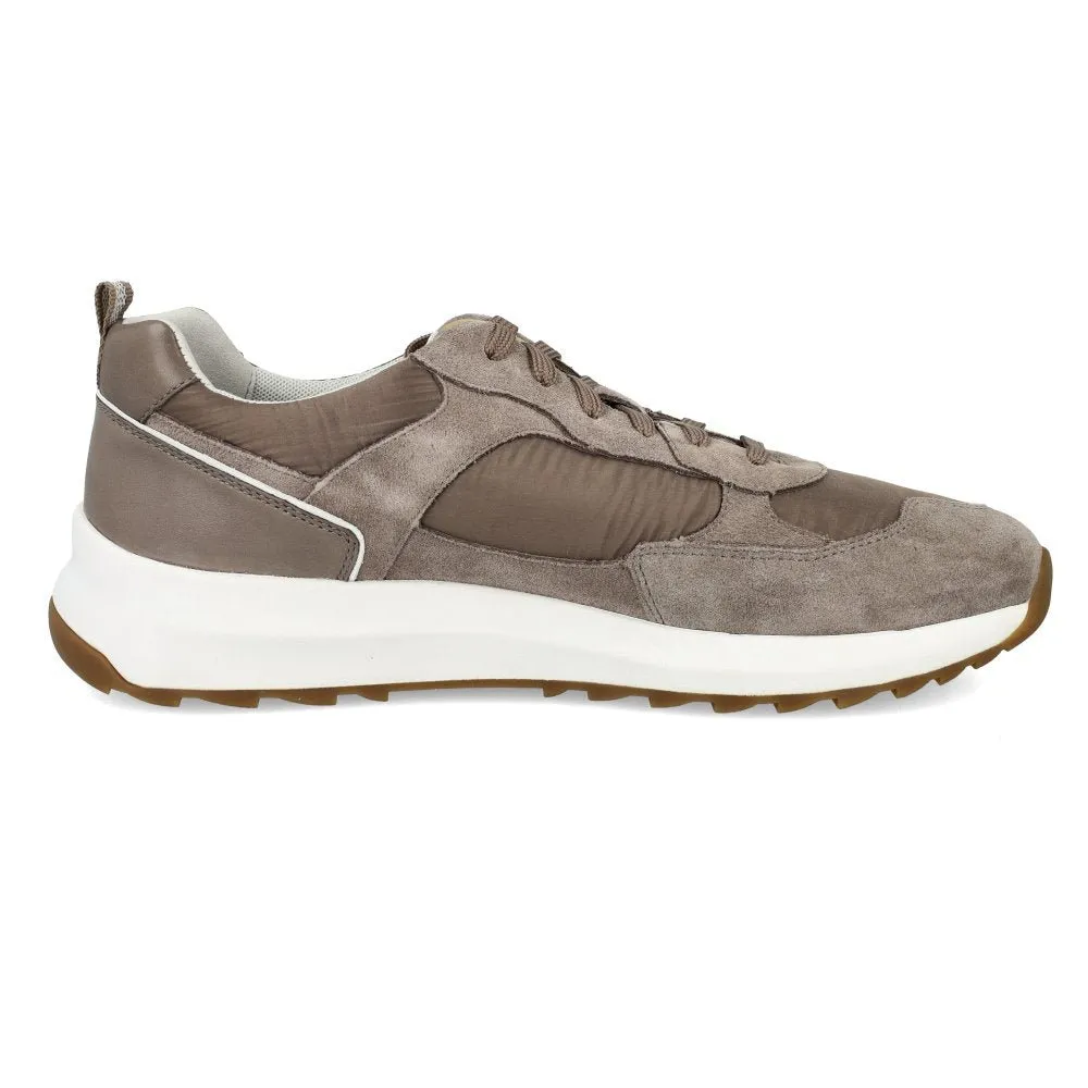 Geox U TITANIO A BEIGE