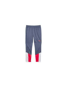 Pantalon Puma Individualcup Traini Hommes