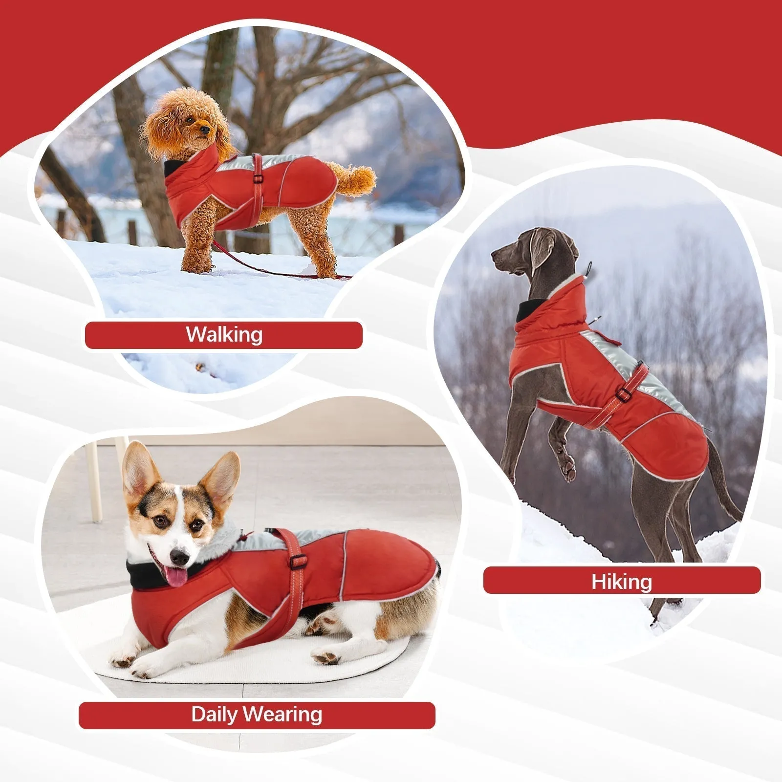 PawComfort - Gilet réfléchissant pour chien pour l'hiver | Sr et chaleureux