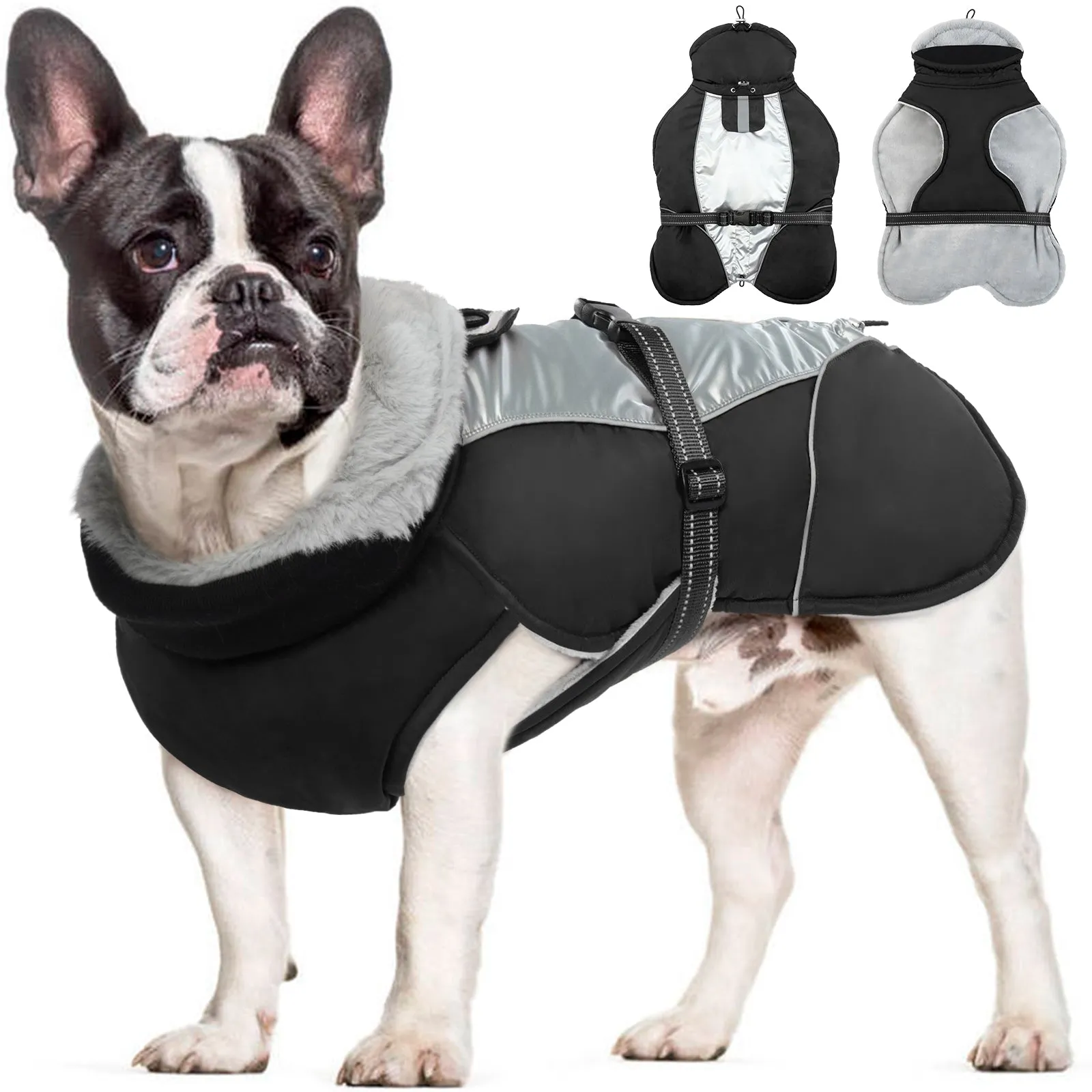 PawComfort - Gilet réfléchissant pour chien pour l'hiver | Sr et chaleureux