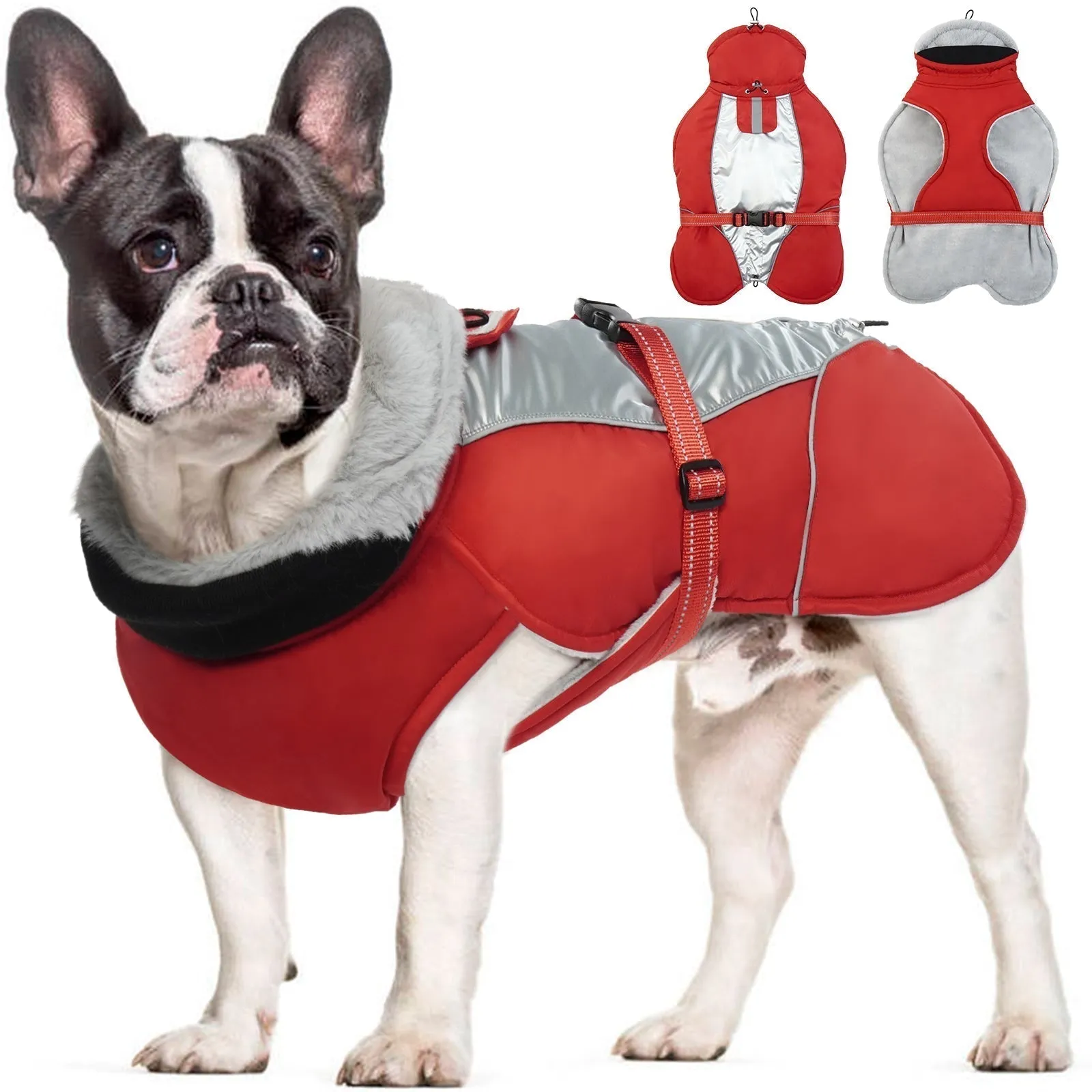 PawComfort - Gilet réfléchissant pour chien pour l'hiver | Sr et chaleureux