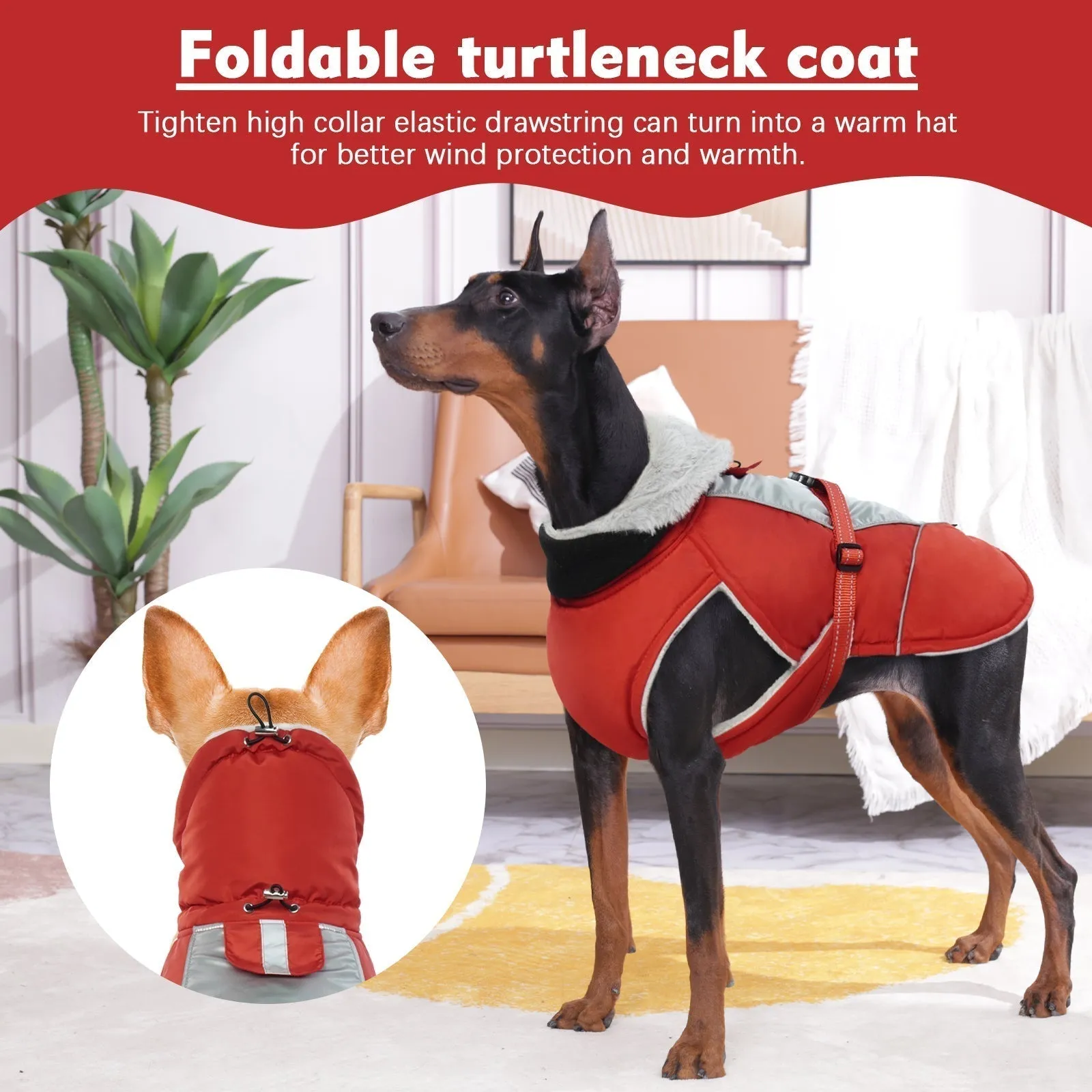 PawComfort - Gilet réfléchissant pour chien pour l'hiver | Sr et chaleureux