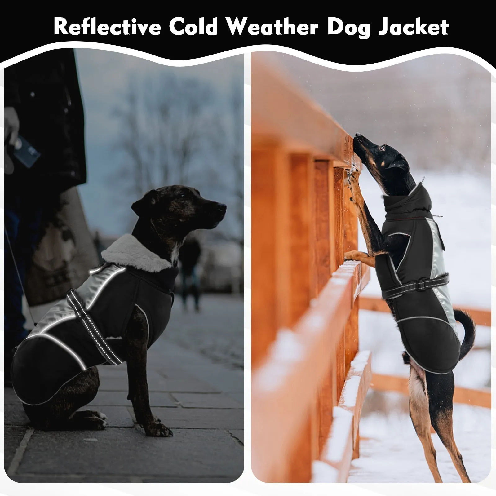 PawComfort - Gilet réfléchissant pour chien pour l'hiver | Sr et chaleureux